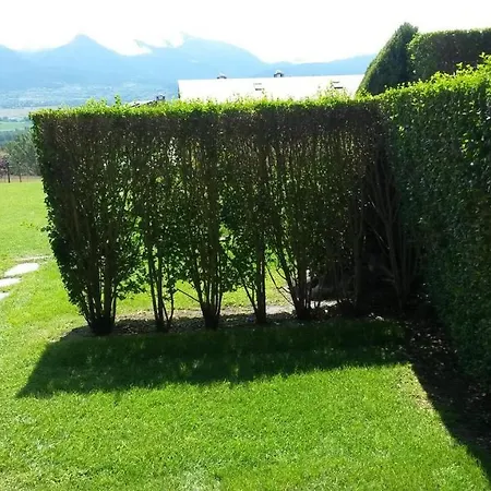 Acogedor Con Jardin En